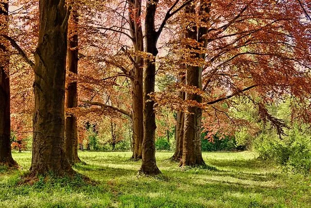 Cómo los madrileños disfrutan de los parques y jardines históricos Madrid Web tu guia online de Madrid empresas y negocios como los madrilenos disfrutan de los parques y jardines historicos 1 Madrid guia online web