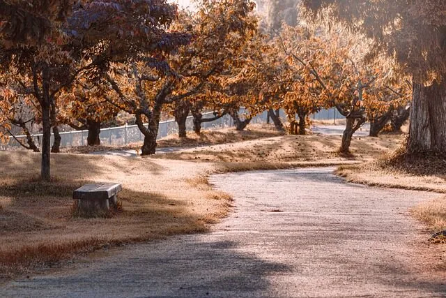 Cómo los madrileños disfrutan de los parques y jardines históricos Madrid Web tu guia online de Madrid empresas y negocios como los madrilenos disfrutan de los parques y jardines historicos 2 Madrid guia online web