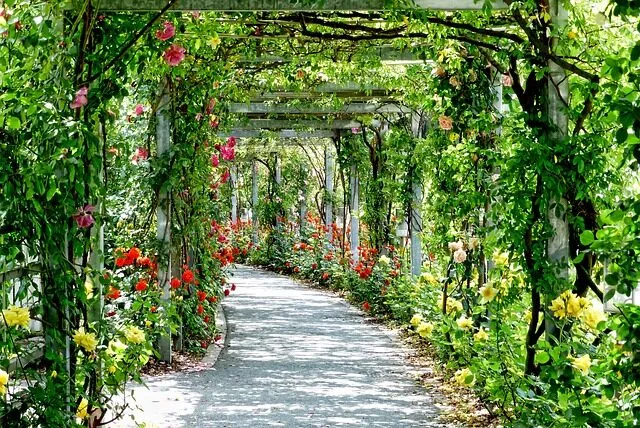 Cómo los madrileños disfrutan de los parques y jardines históricos Madrid Web tu guia online de Madrid empresas y negocios como los madrilenos disfrutan de los parques y jardines historicos 4 Madrid guia online web