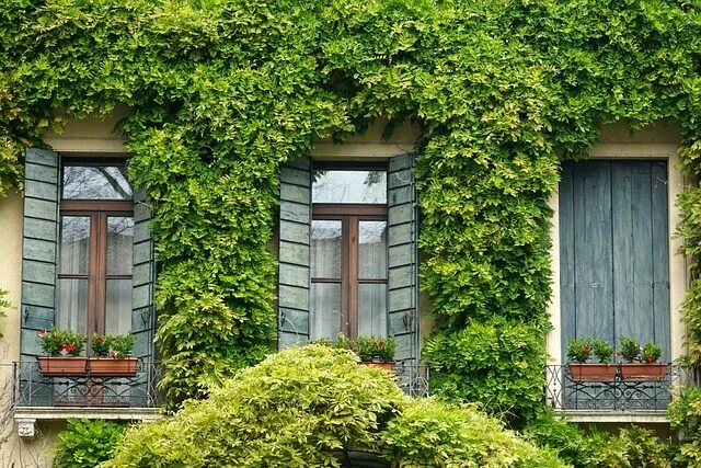 los balcones de madrid su papel en las celebraciones y fiestas 4 Madrid guia online web